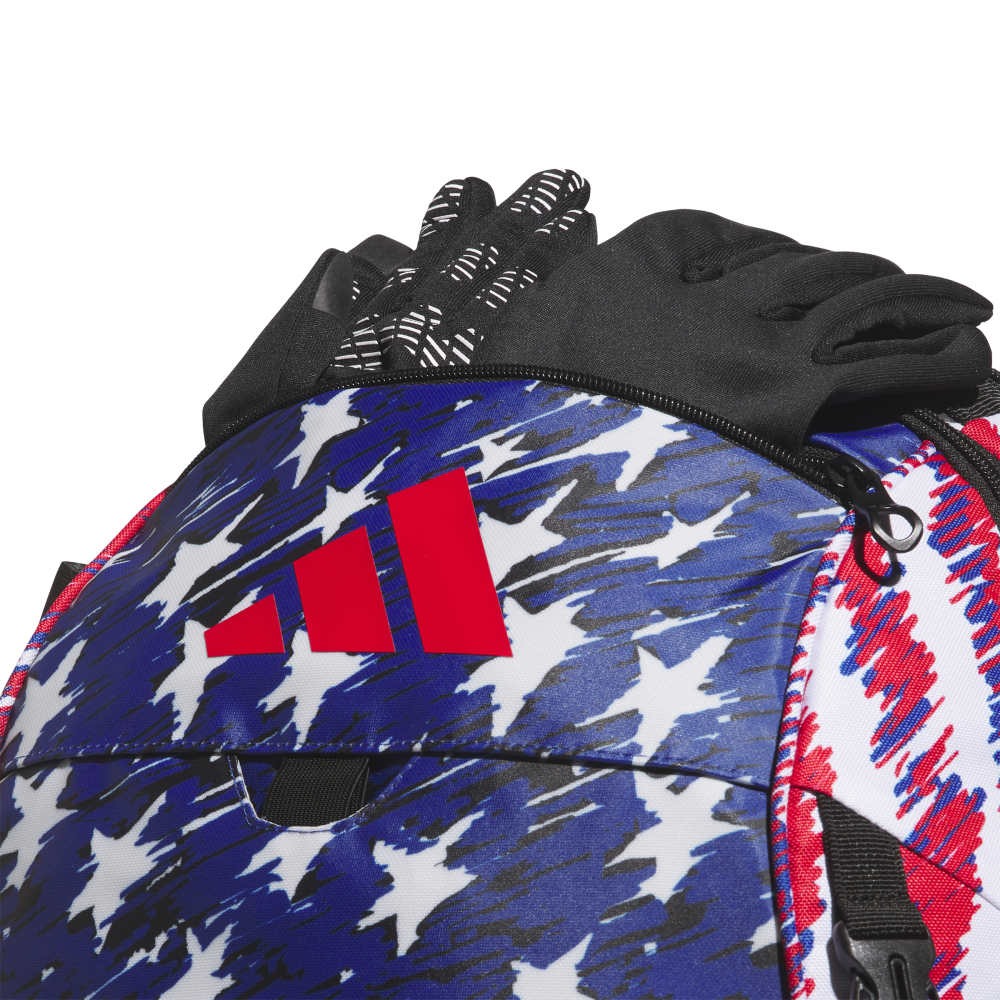 Dugout P Backpack