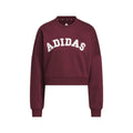 Chenille Logo Graphic Sweatshirt