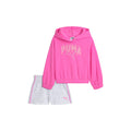 Fleece Pullover Hoodie & Shorts 2 Piece Set (Toddler)