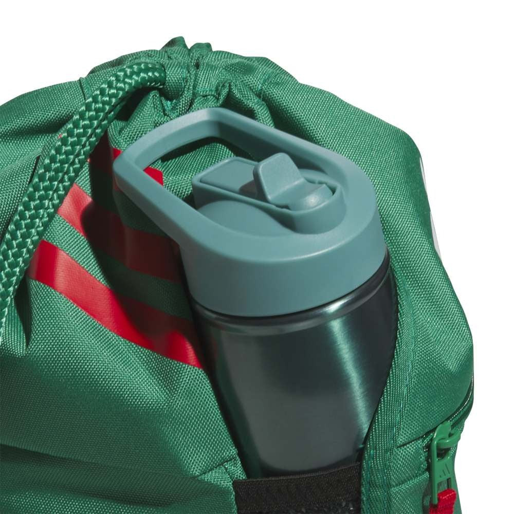Mexico Stadium Sackpack