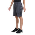 Icons Shorts
