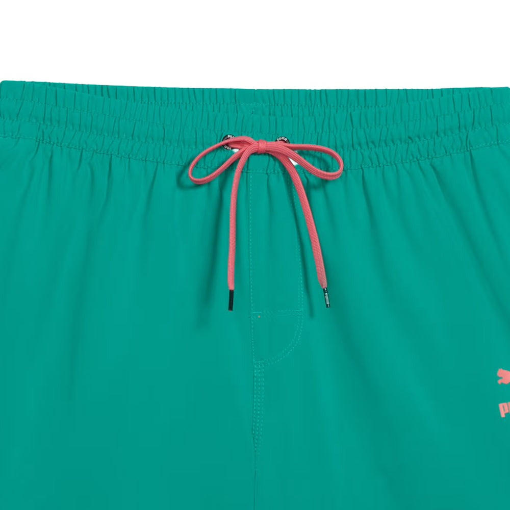 Archive 5.5 Inch Swim Trunks