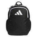 Affiliate Backpack