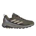 Terrex Anylander Hiking Shoes