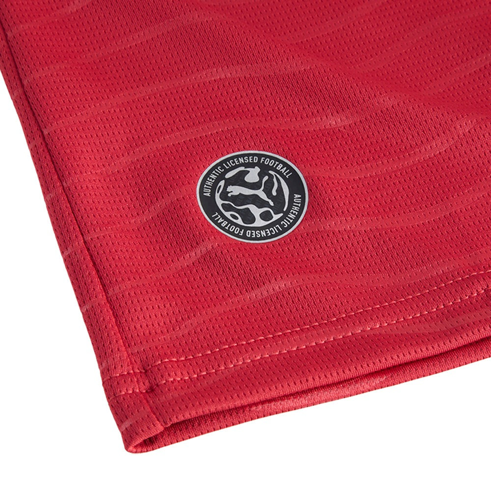 Portugal Crew Neck Long Sleeve Home Player Jersey Replica