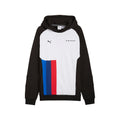 BMW M Motorsport Long Sleeve pumatech Pullover Hoodie