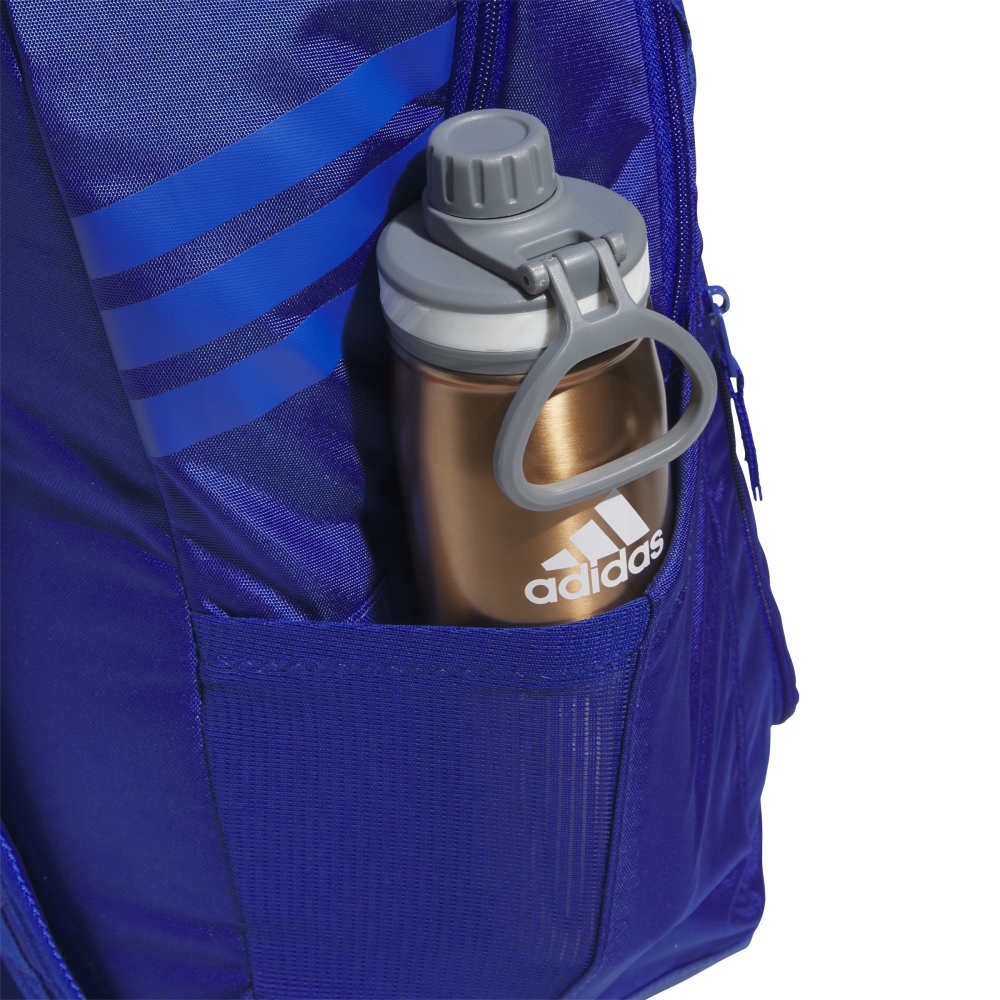 Stadium 4 Backpack