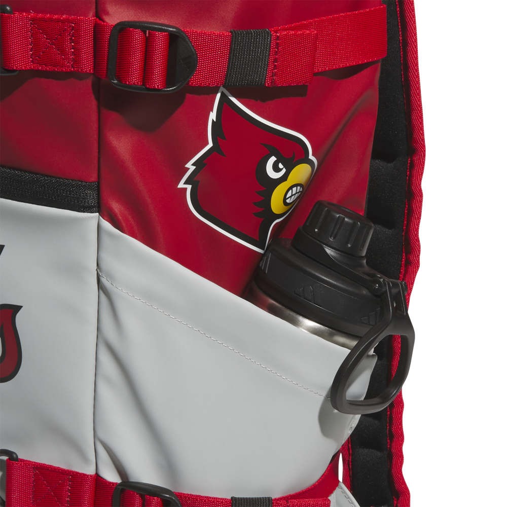 Collegiate Vista Backpack