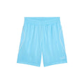 PUMA Sport Stripe Shorts