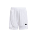 Squadra 25 Shorts (Youth)