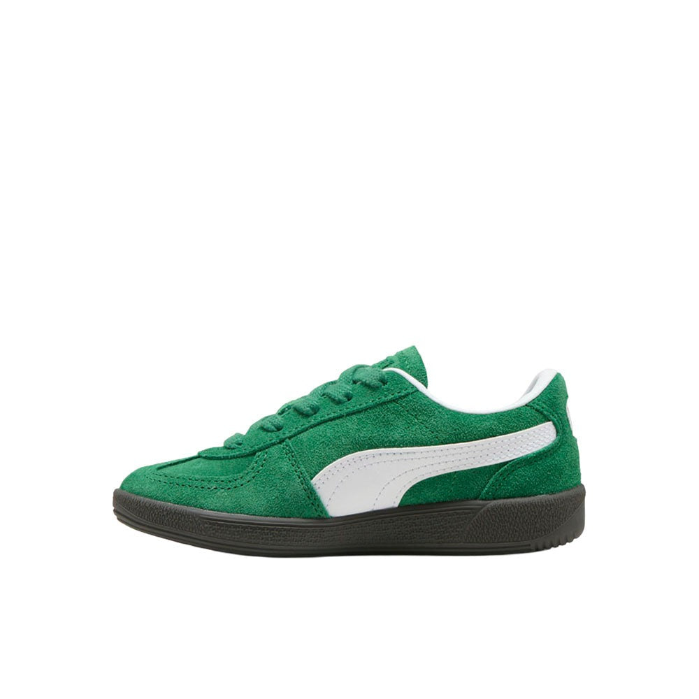 Palermo Lace Up Sneakers (Youth)