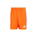 Tastigo 25 Shorts