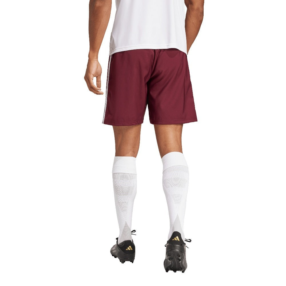 Tastigo 25 Shorts