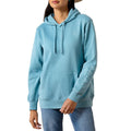 Ariat Logo 2.0 Hoodie