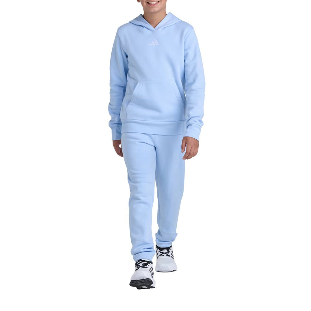 2-Piece Long Sleeve Pullover Hoodie and Joggers Essential Small Logo Fleece Set (Youth)