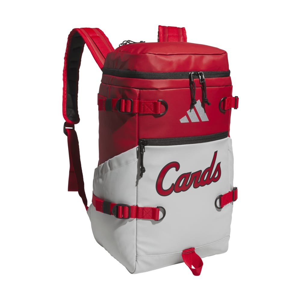 Collegiate Vista Backpack