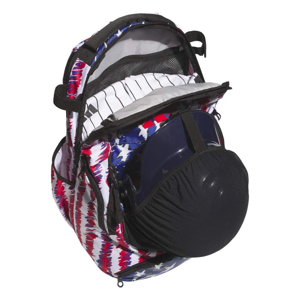 Dugout P Backpack
