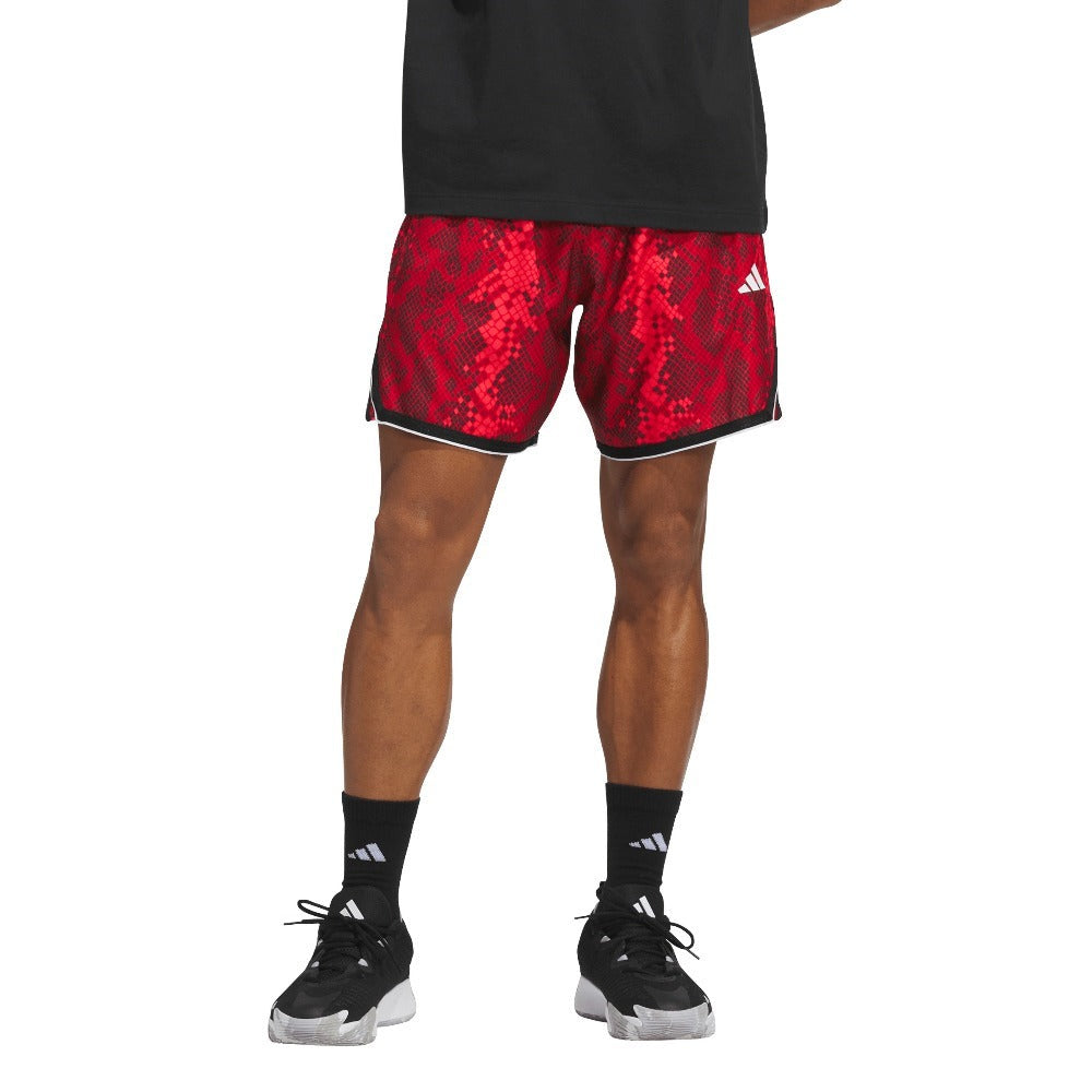 Crazylite Animal AOP Shorts