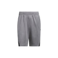 Legends 3-Stripes Basketball Shorts