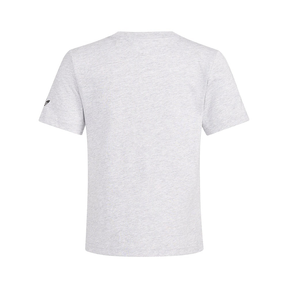 3-Stripes Firebird Short Heather Tee Set