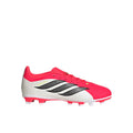 Predator Club Firm Ground / Multi Ground Soccer Cleats